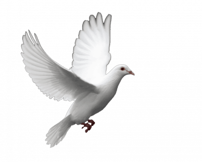 Tony Herman - Magicien illusionniste La Rochelle